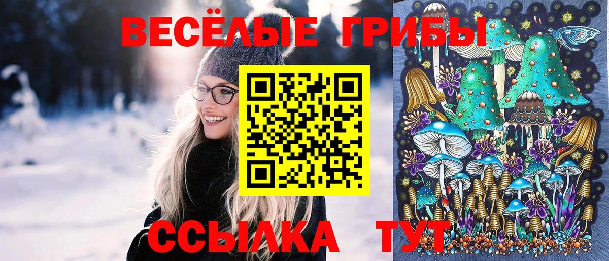 Псилоцибиновые грибы Psilocybine cubensis  Вход с VPN  Семёнов  Псилоцибиновые грибы Psilocybine cubensis 